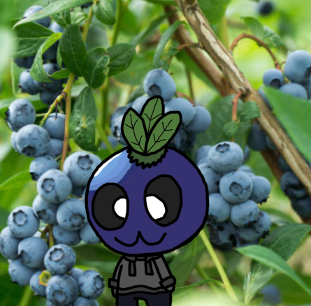 Herbert_Heidelbeer Profilbild